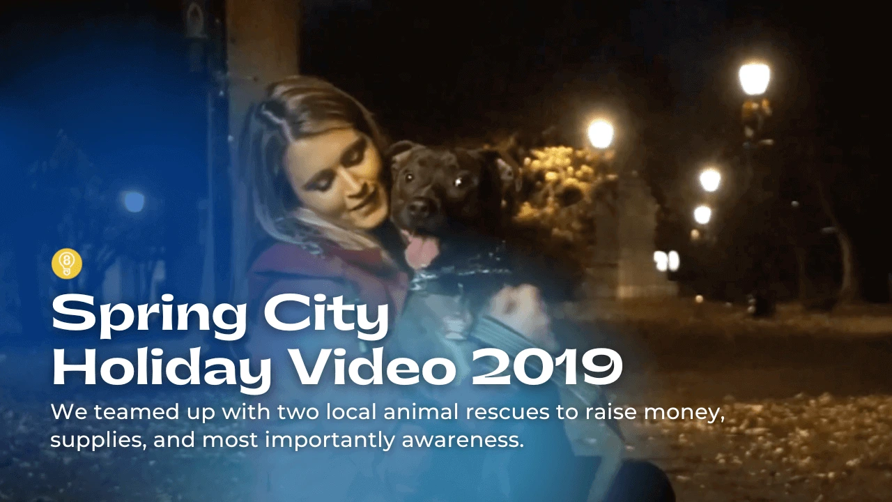 Spring City Electrical Mfg. 2019 Holiday Video